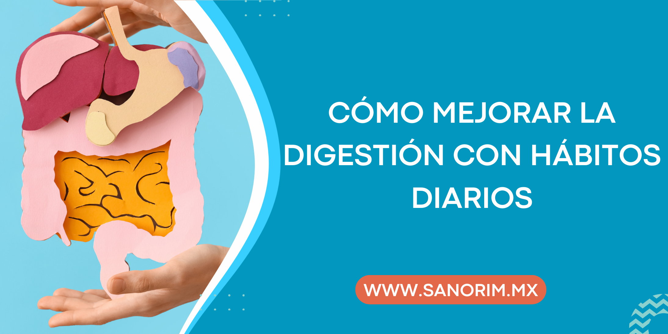 Cómo mejorar la digestión con hábitos diarios