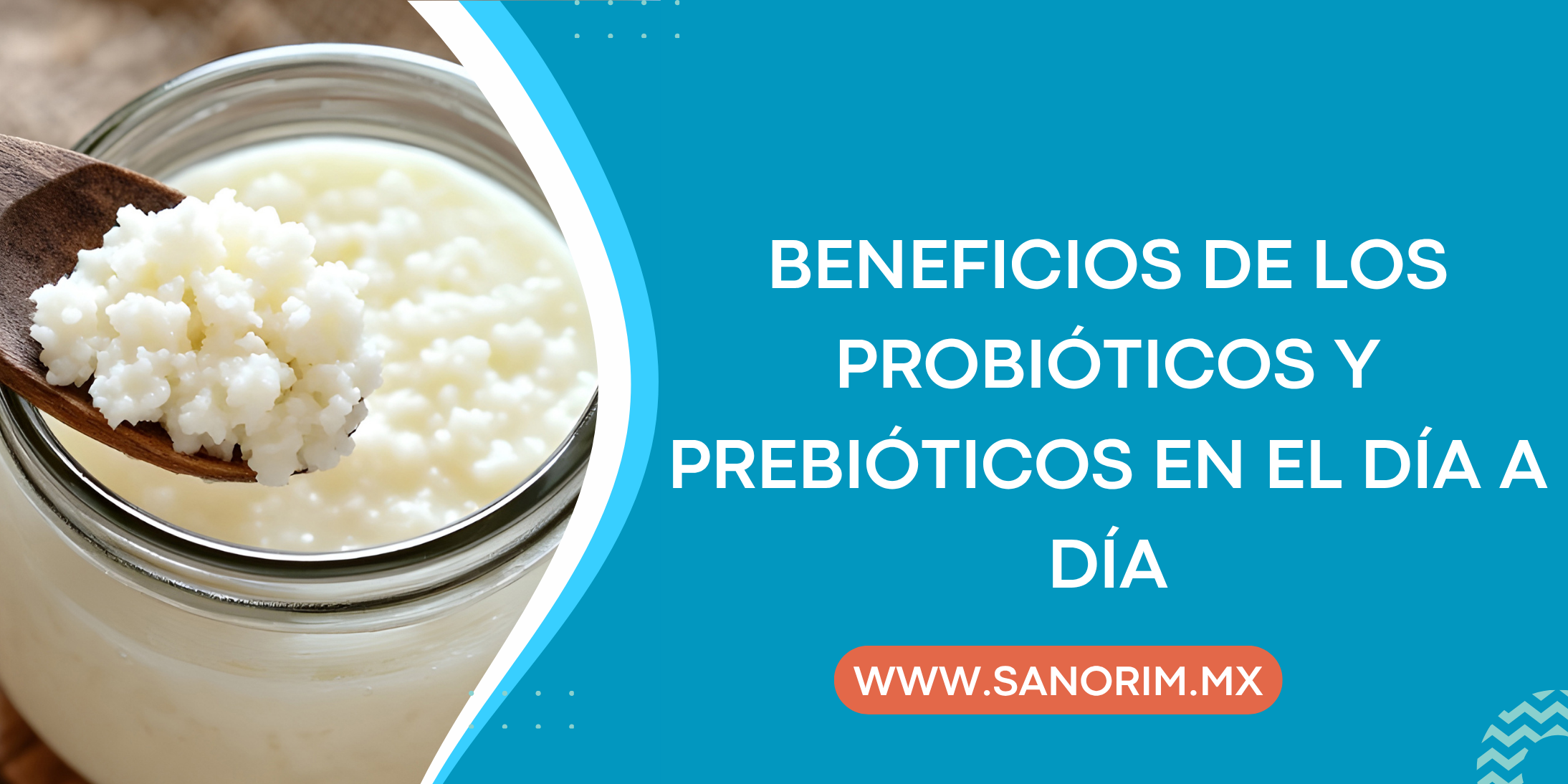 Beneficios de los probióticos y prebióticos en el día a día