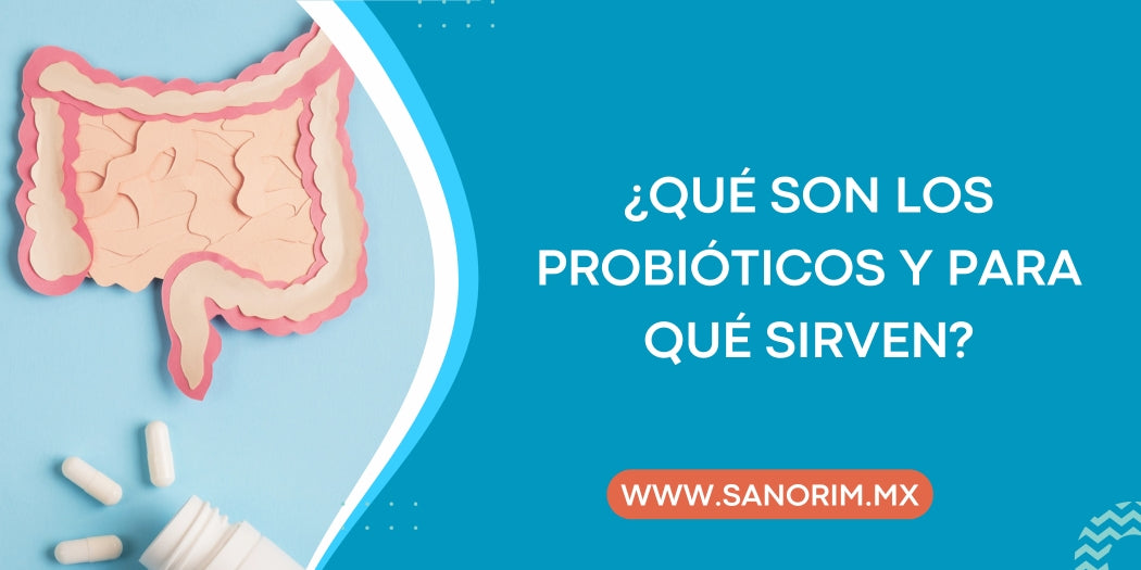 ¿Qué son los probióticos y para qué sirven?