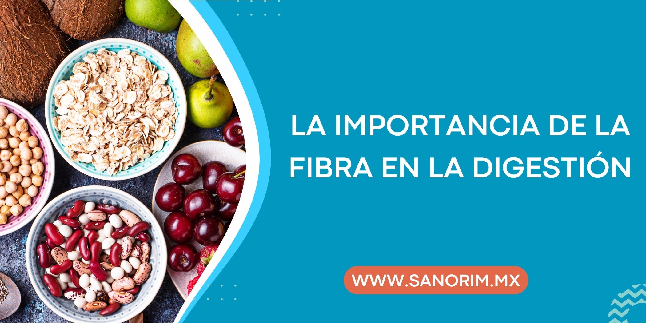 La importancia de la fibra en la digestión: alimentos clave para mantener una buena salud intestinal