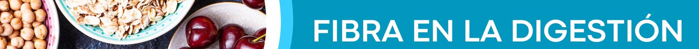 La importancia de la fibra en la digestión: alimentos clave para mantener una buena salud intestinal