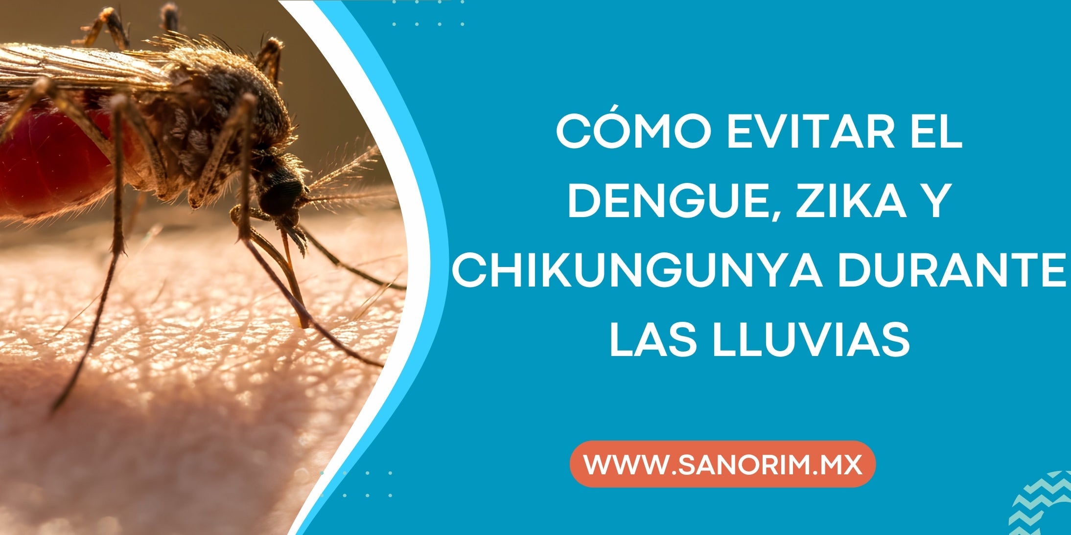 Cómo evitar el dengue, zika y chikungunya durante las lluvias
